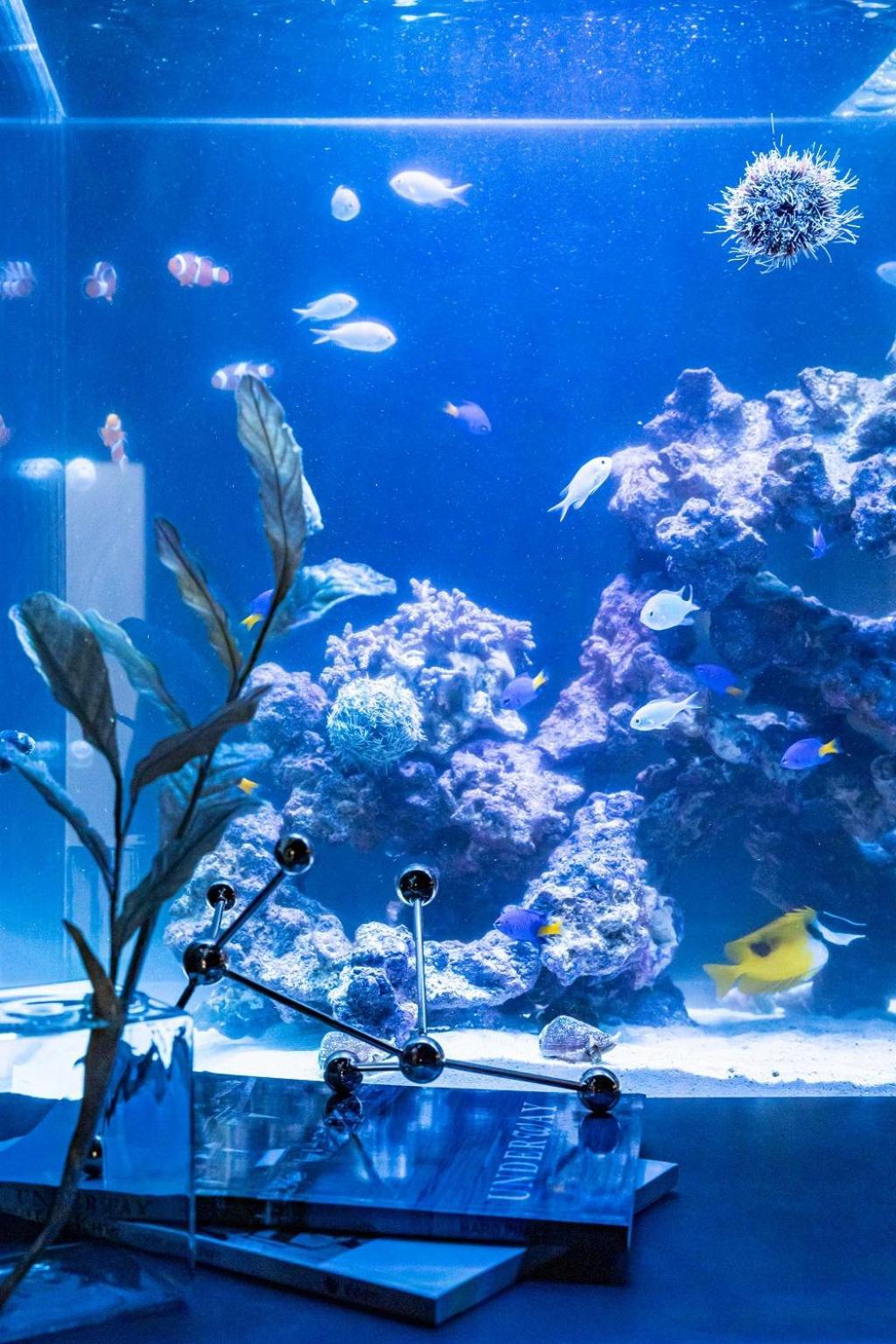 Vila Japavista Aqua Ósaka Exteriér fotografie