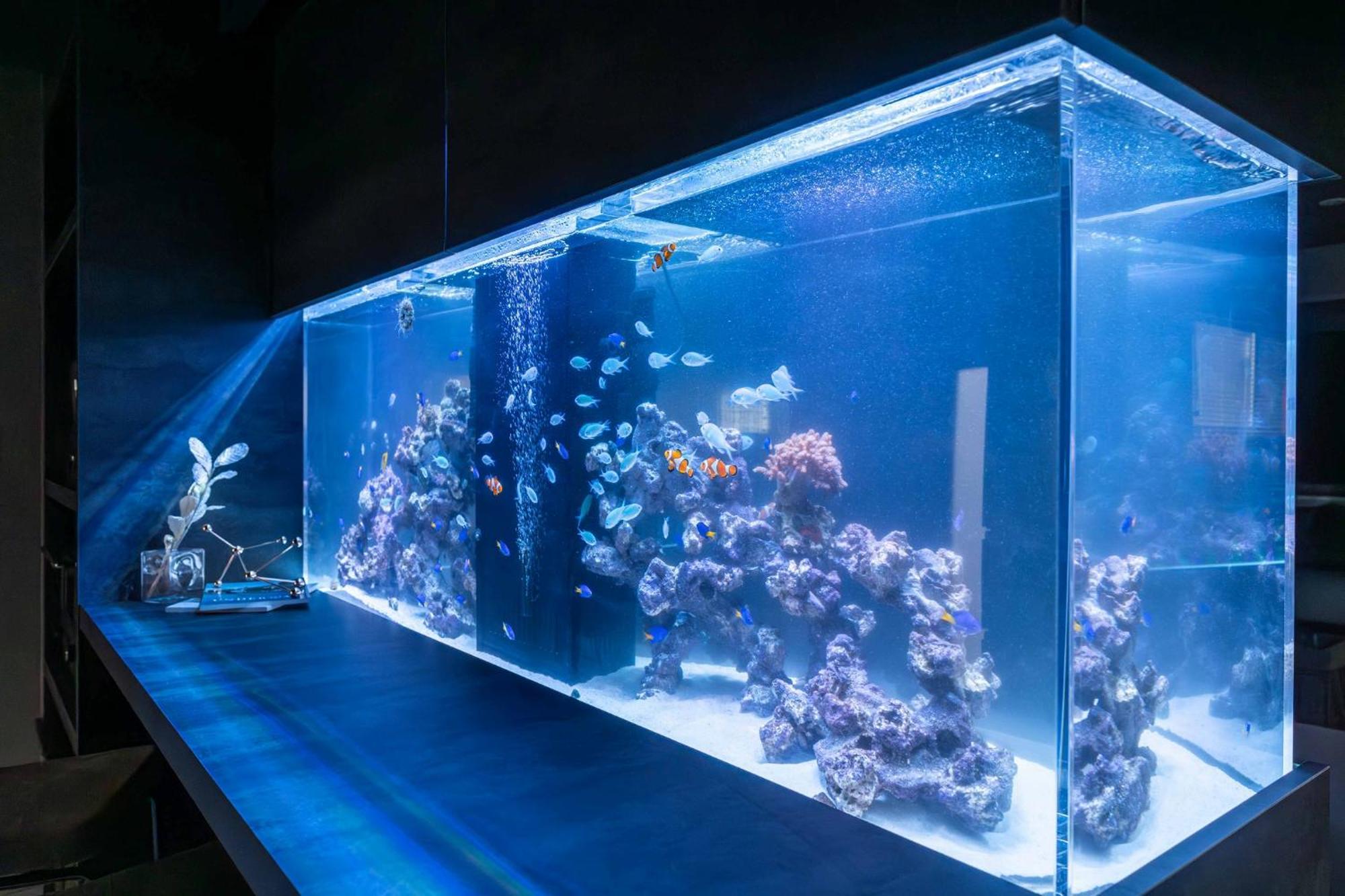 Vila Japavista Aqua Ósaka Exteriér fotografie